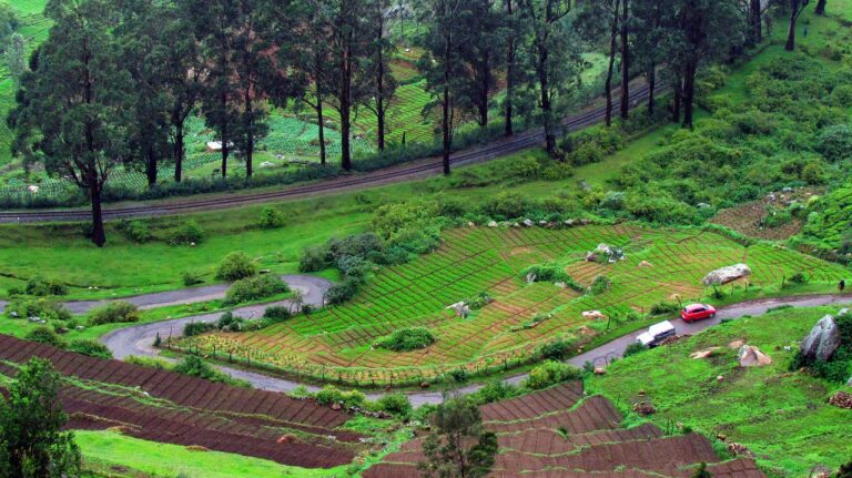 ooty, green, mountain, nature, railway, agriculture, rural, asia, environment, plant, kerala, natural, hill, ooty, ooty, ooty, ooty, ooty