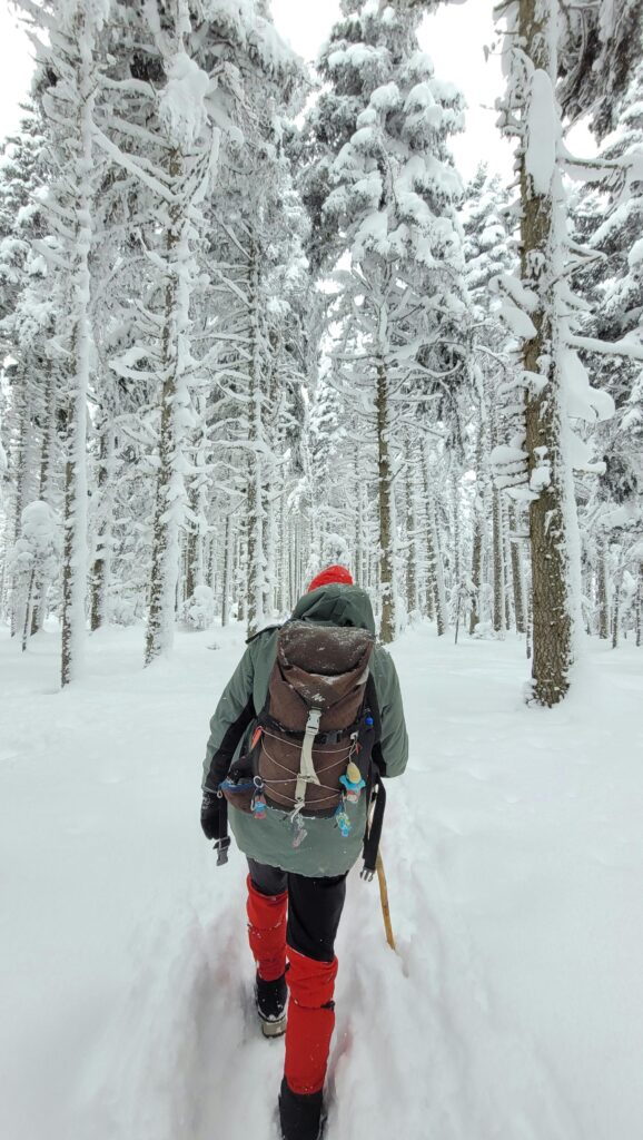 A lone hiker with trekking gear walks through a serene, snow-covered forest in winter.